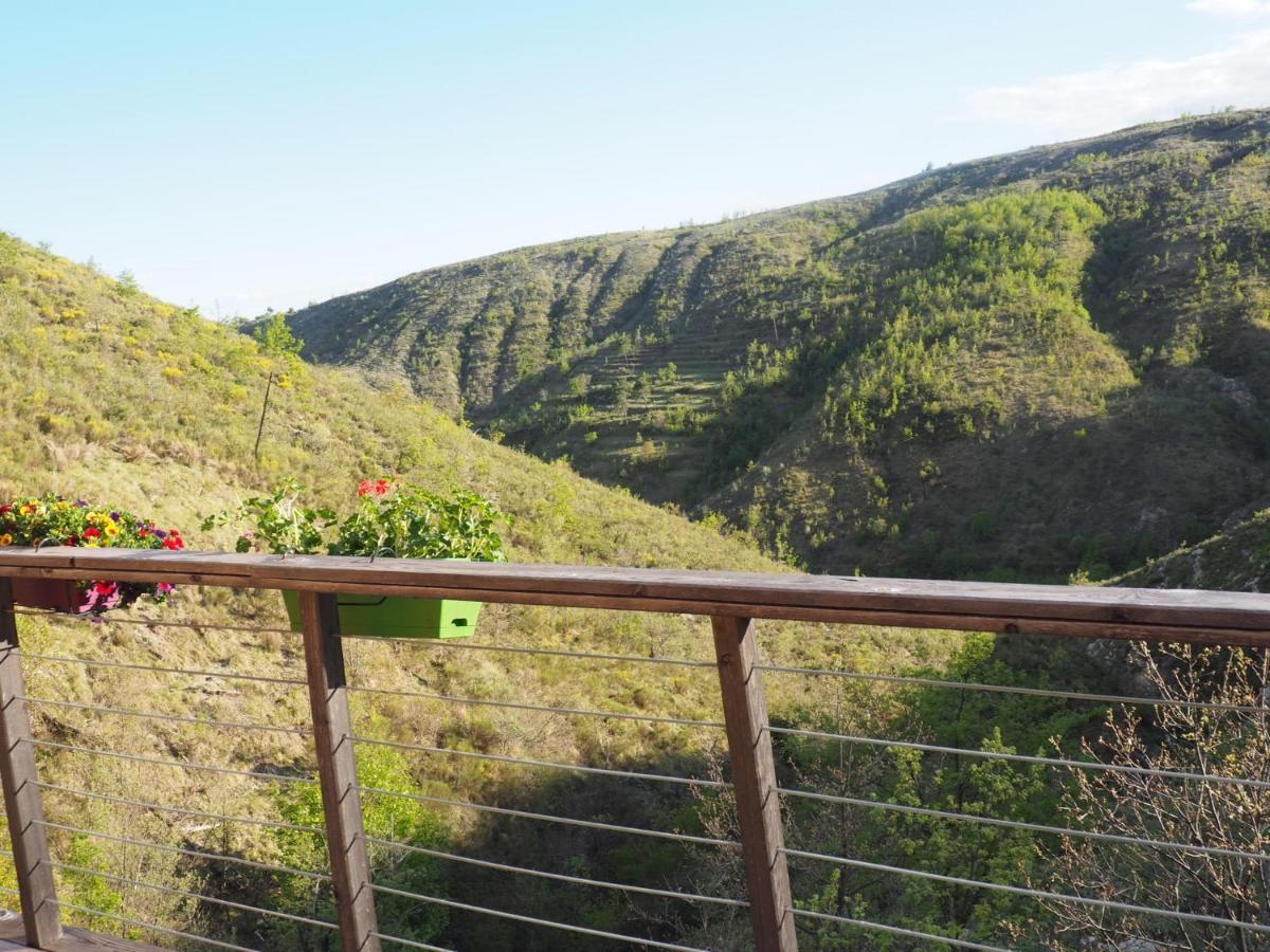 Chalet Sur Pilotis Avec Piscine Privee Luceram Экстерьер фото